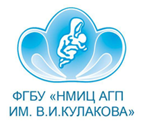 Пользовательская версия